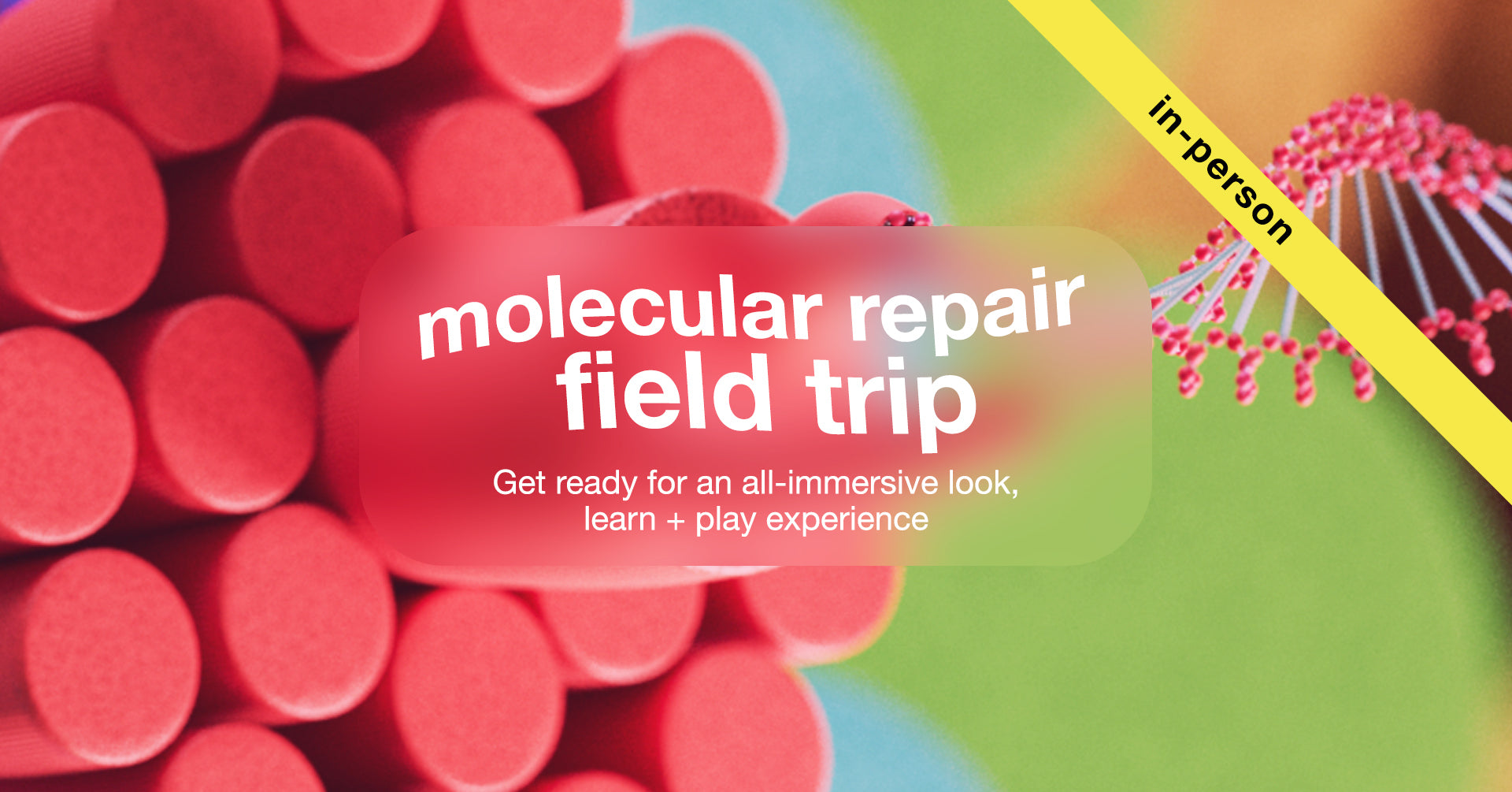 July: K18 molecular repair field trip