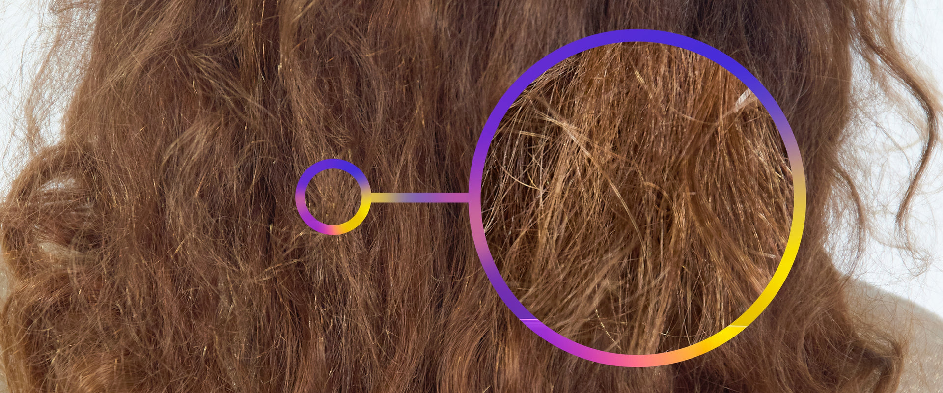 The Truth Behind Tangles