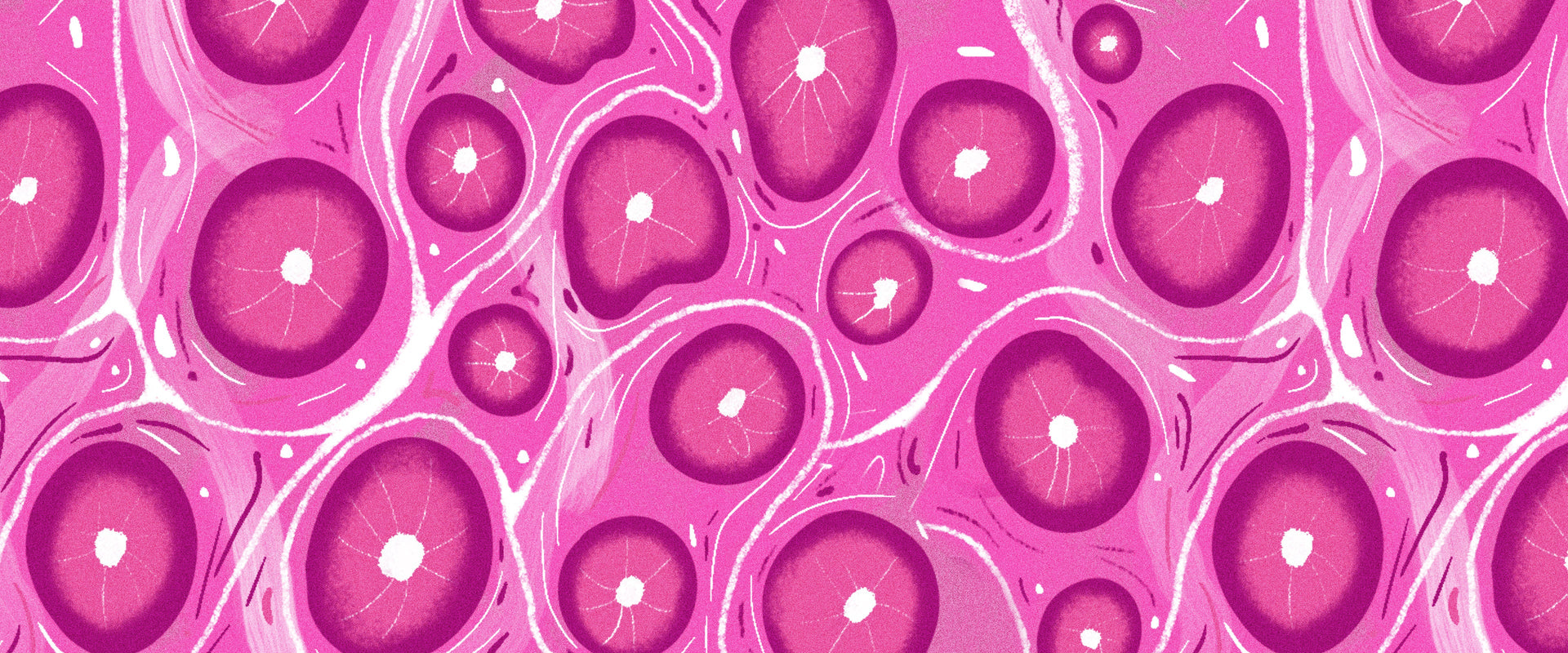 Science Class 16: Lipids + hair health