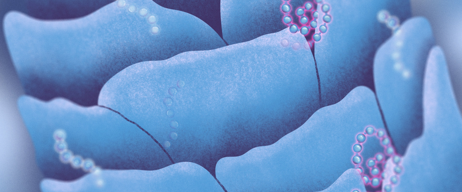 Is K18 a Protein?