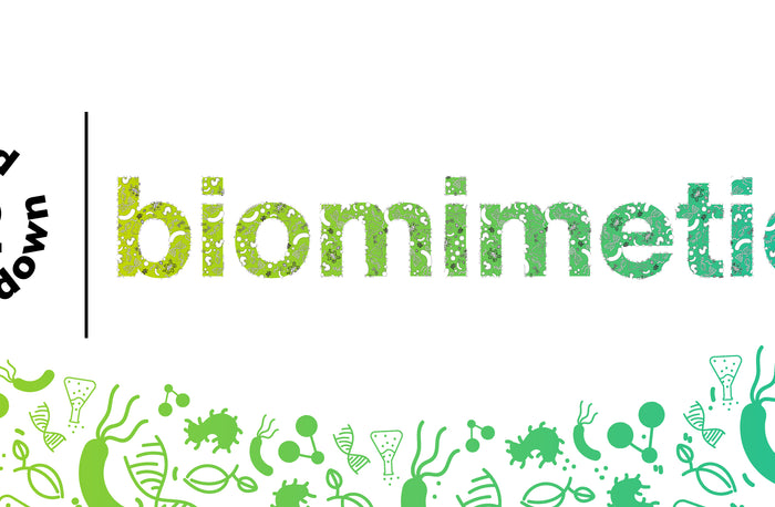 Buzzword Breakdown 02: biomimetics