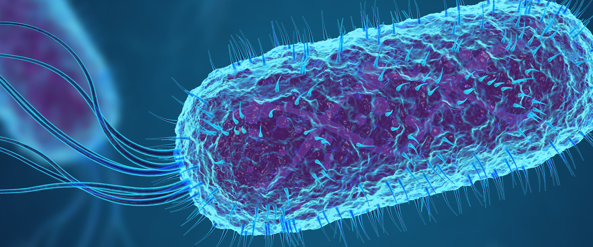 how does synthetic biology work?