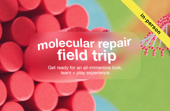 July: K18 molecular repair field trip