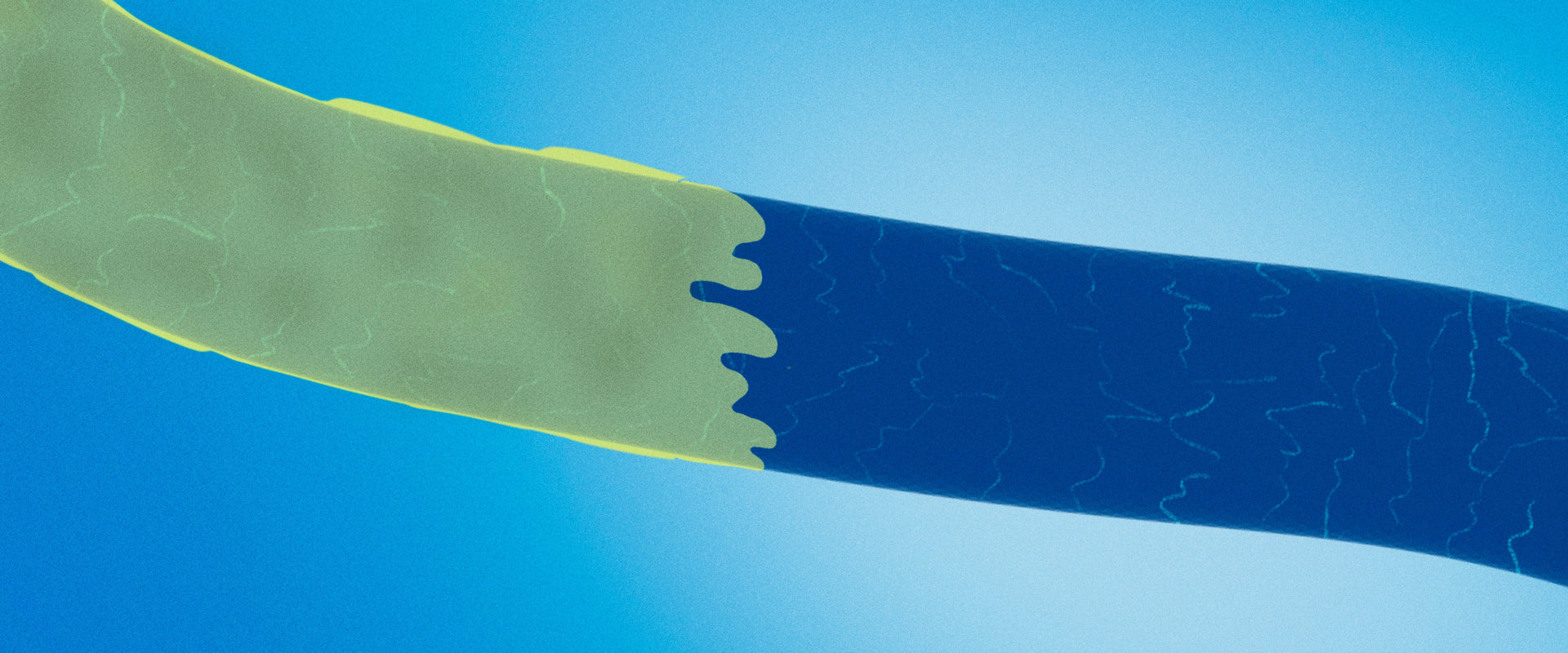 The Science of Hair Slip