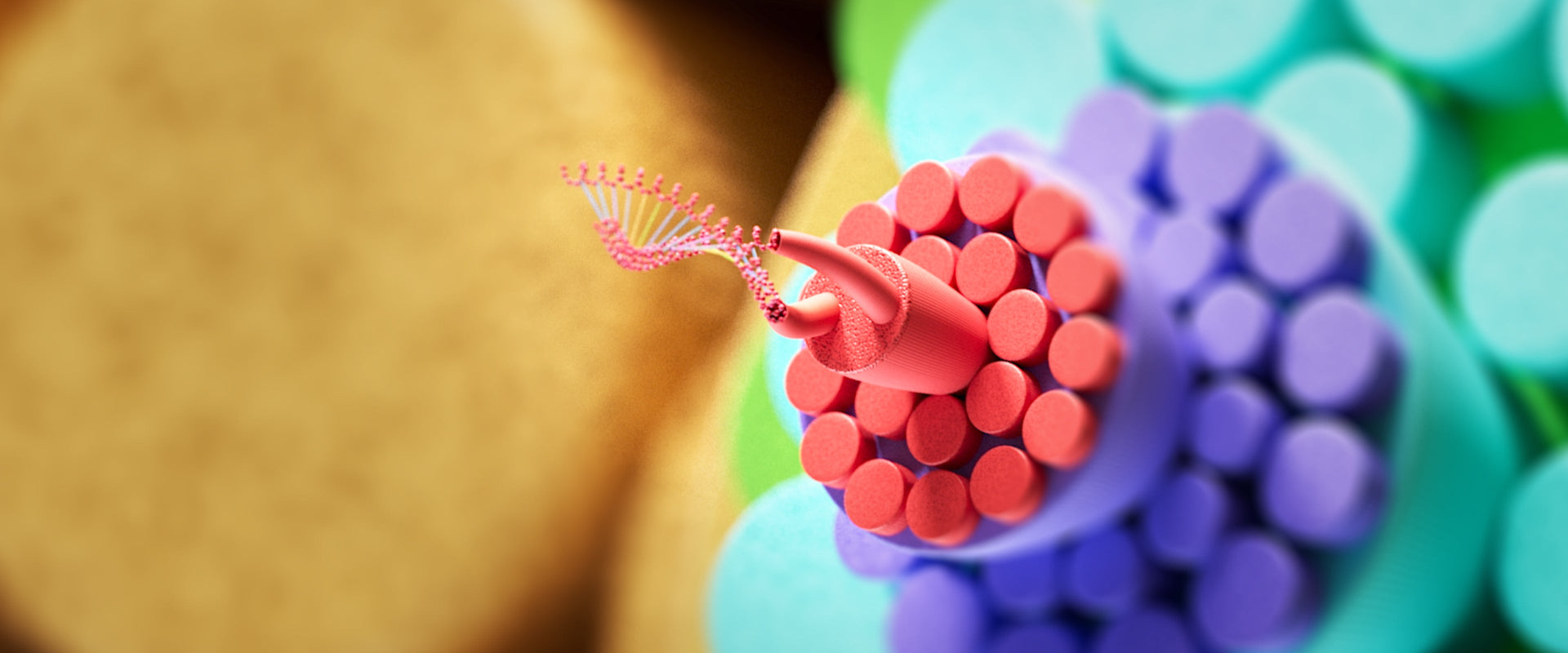 forget everything you know about haircare
