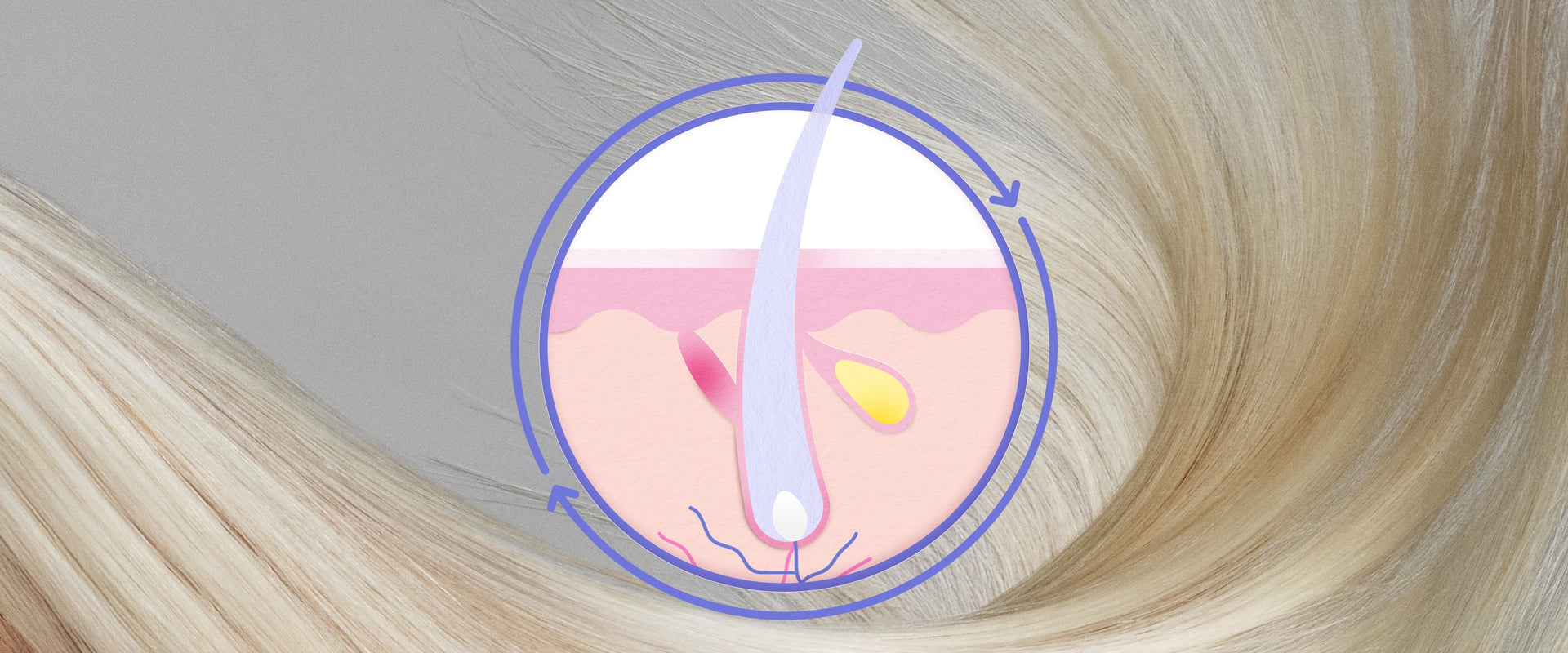 Why Isn’t Your Clients’ Hair Growing?