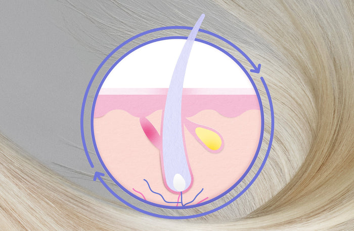 Why Isn’t Your Clients’ Hair Growing?
