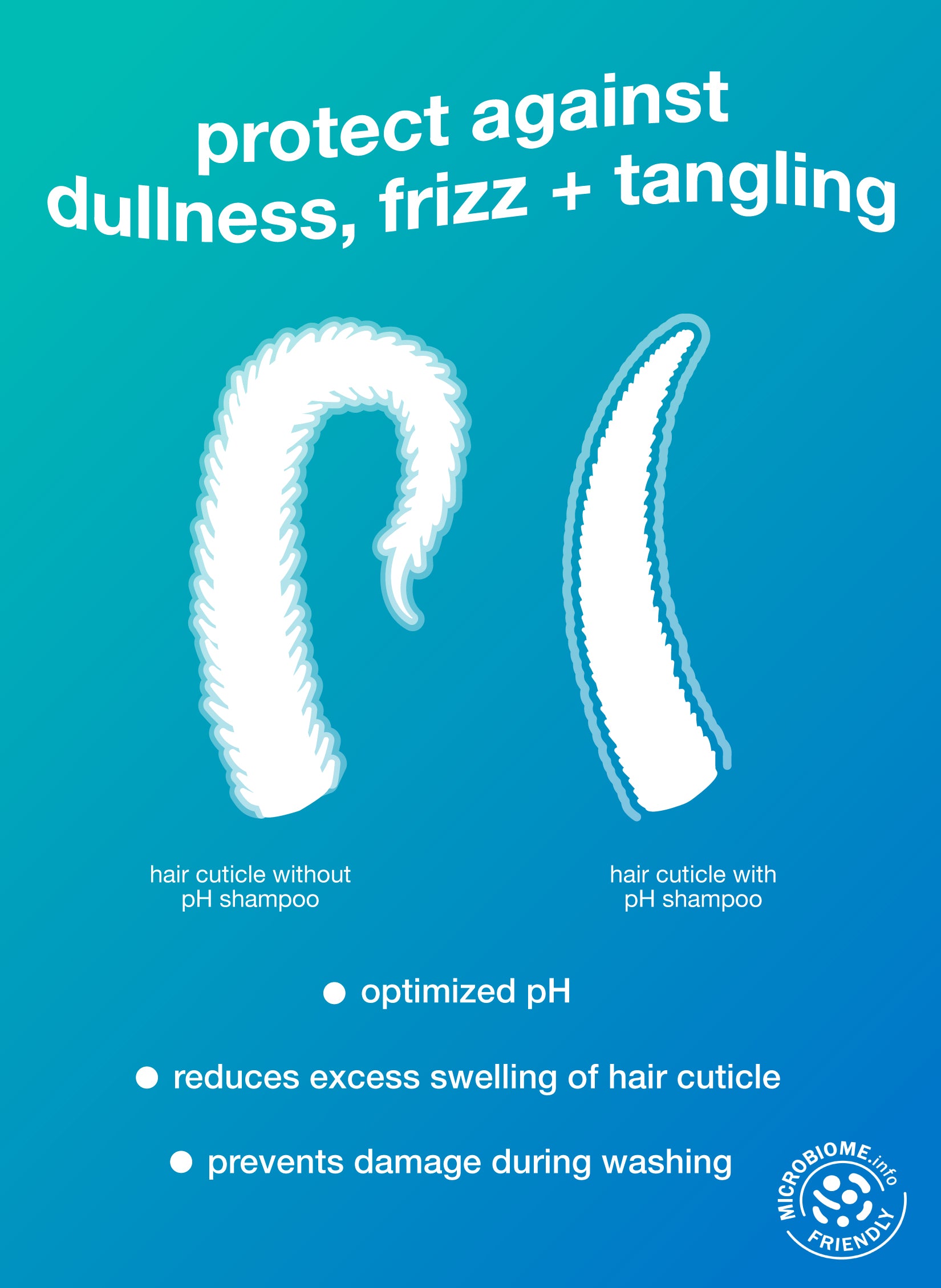 Ilustración de la cutícula del cabello con champú con pH y la cutícula del cabello sin champú con pH. protege contra la opacidad, el frizz y los enredos. pH optimizado, reduce el exceso de hinchazón de la cutícula del cabello, previene daños durante el lavado