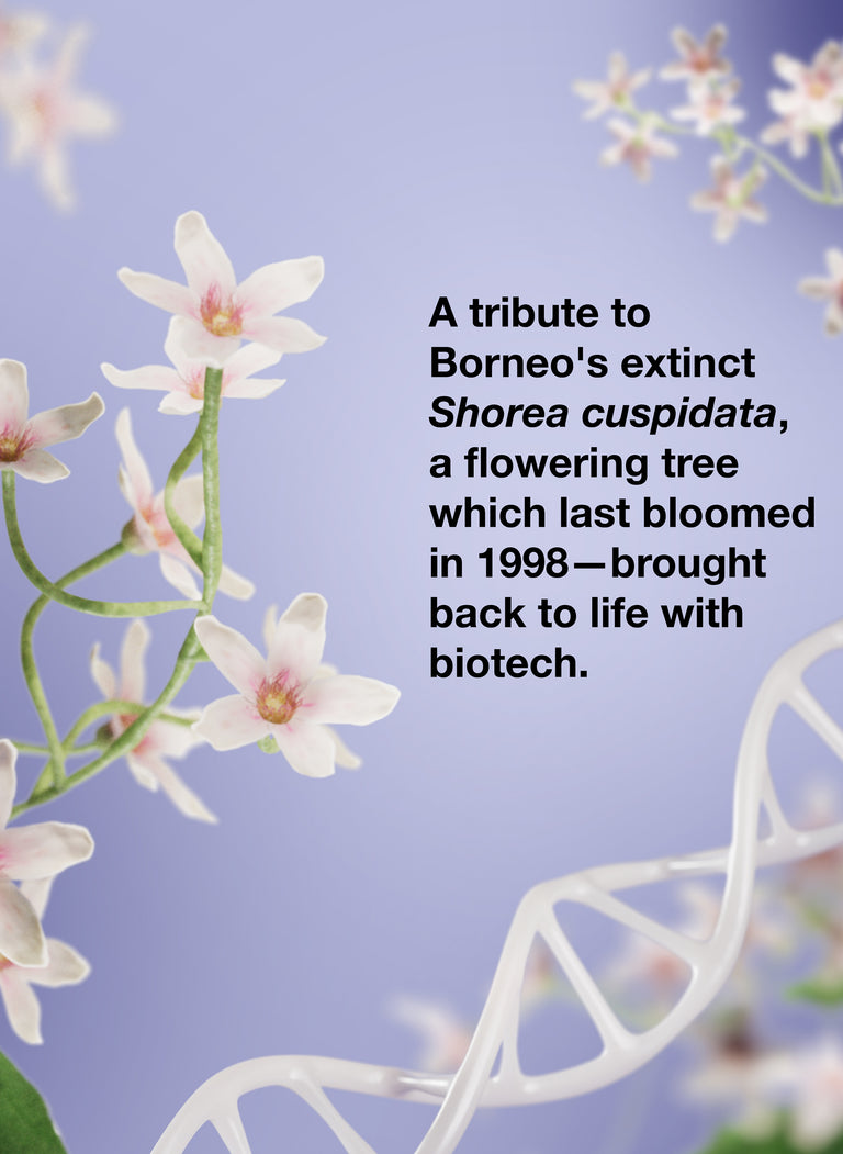 k18-x-future-society-limited-edition-scent-mask-wholesale