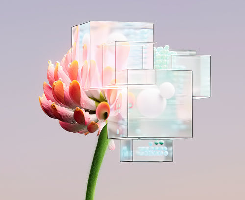 presentation image