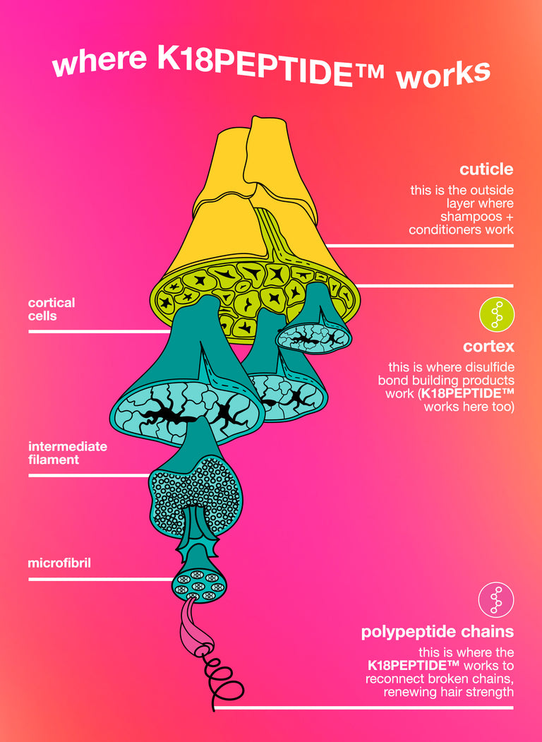 prep-repair-at-home-duo